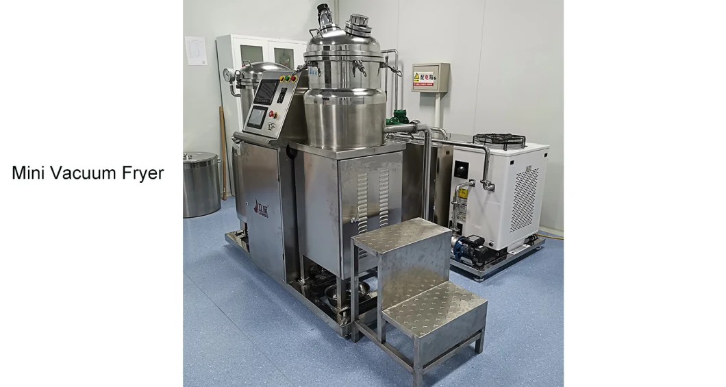 8kgs Per Batch Mini Size Vacuum Fryer for Food Chips Frying